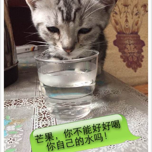 亚利桑那州立大学学历学位认证